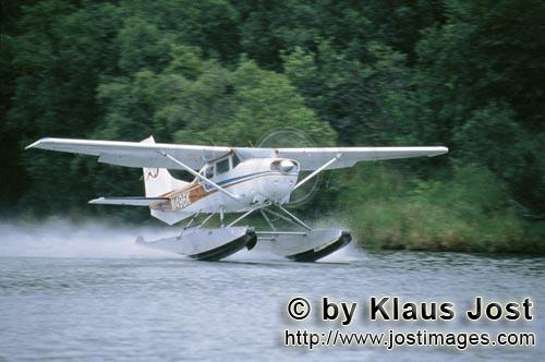 Wasserflugzeug/Buschflugzeug/Alaska        Startendes Wasserflugzeug        Mit dem Buschflugzeug