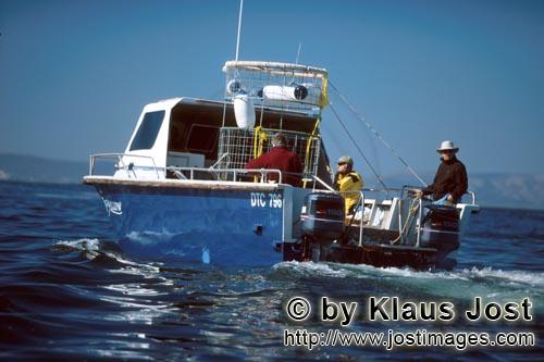 Dyer Island/Western Cape/Südafrika        Tauchboot von Andre Hartman        Sechs Seemeilen von