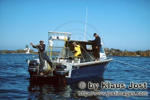 Dyer Island/Western Cape/Südafrika        Andre Hartman wirft einen Fischköder aus         Sechs S