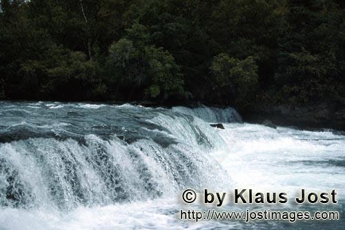            Am Books River Wasserfall         Malerisch weich faellt das Wasser eine ungefaehr 1,80 m 