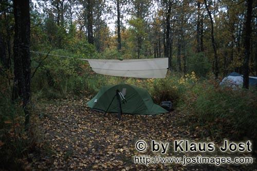 Zelten am Brooks Campground    Camp at the Brooks Campground        Im spaeten Herbst stehen nur vereinze