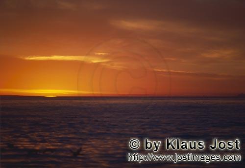 Dyer Island/Western Cape/South Africa        Sonnenuntergang auf dem Meer        Auf der Heimfahrt v