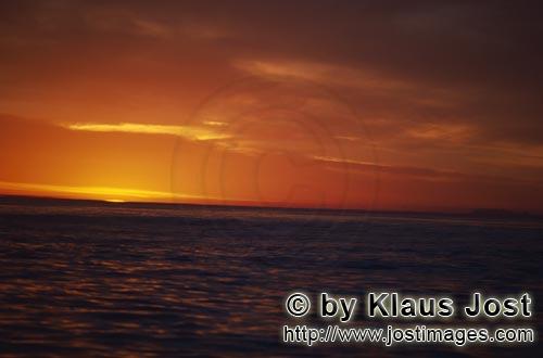 Dyer Island/Western Cape/South Africa        Die Sonne versinkt im Meer        Auf der Heimfahrt von