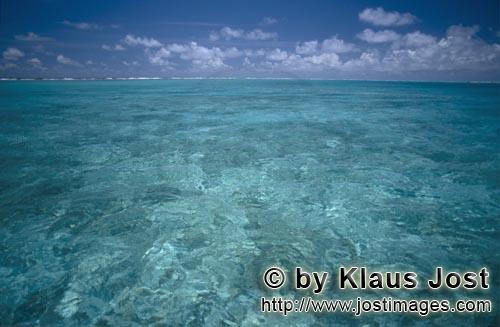 Midway/Hawaiian Islands/USA        Glasklares Wasser in einer Midway Lagune        1200 Meilen nordw