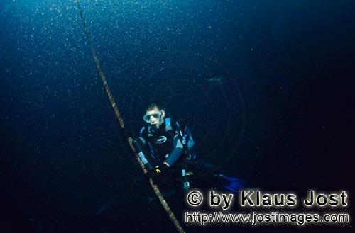 Shark reef/Vitu Levu/Beqa Lagoon/Fiji        Dr. Juerg Brunnschweiler mit VEMCO VR2 Unterwasser Empf