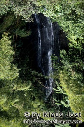 Regenwald/Viti Levu/Fidschi        Zauberwasserfall im Dschungel        Die Niederschlagsmenge hier 