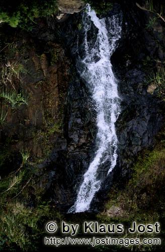 Regenwald/Viti Levu/Fidschi        Dschungel-Rauschen - Wasserfall am Navua River          Die Nie