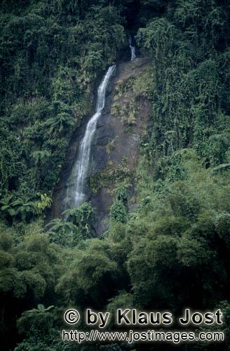 Regenwald/Viti Levu/Fidschi        Wasserfall umgeben vom Grün des Dschungels        Die Niederschl