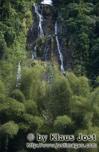 Regenwald/Viti Levu/Fidschi        Märchenhafter Wasserfall im Regenwald        Die Niederschlagsme