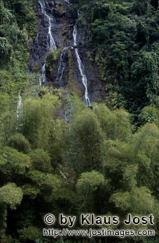 Regenwald/Viti Levu/Fidschi        Wasserfall im Fiji Dschungel        Die Niederschlagsmenge hier i
