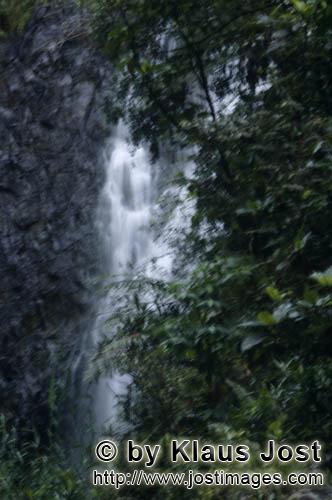 Regenwald/Viti Levu/Fidschi        Beeindruckend: Wasserfall im Fiji Regenwald        Die Niederschl