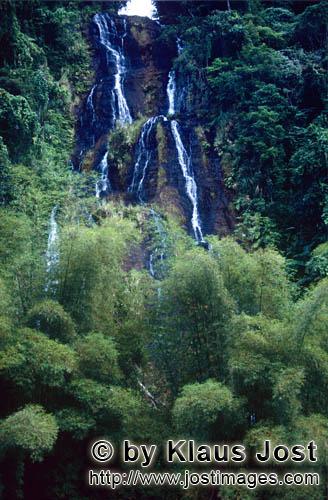 Regenwald/Viti Levu/Fidschi        Geheimisvoller Wasserfall im Fiji Regenwald        Die Niederschl