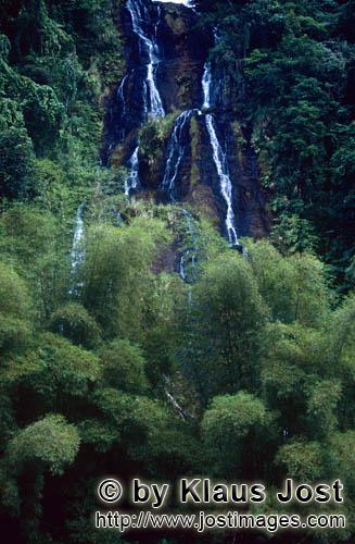 Wasserfall im Fiji Regenwald/Waterfall in the Fiji rainforest        Wasserfall im Fiji Regenwald</b