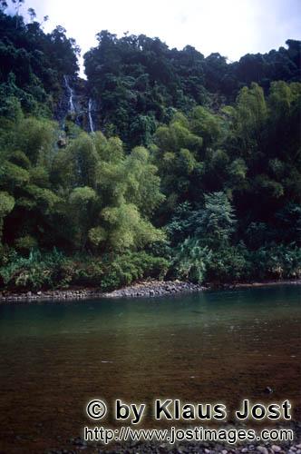 Regenwald/Viti Levu/Fidschi        Fluß im Regenwald        Ungefaehr 40 Prozent der Flaeche Fijis,