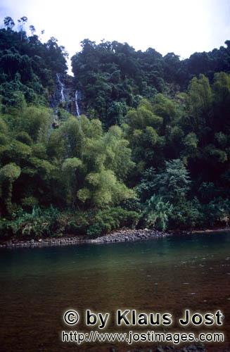 Regenwald/Viti Levu/Fidschi        Regenwald Flußlandschaft        Ungefaehr 40 Prozent der Flaeche