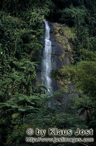 Wasserfall im Fiji Regenwald/Waterfall in the Fiji rainforest        Wasserfall im Regenwald        