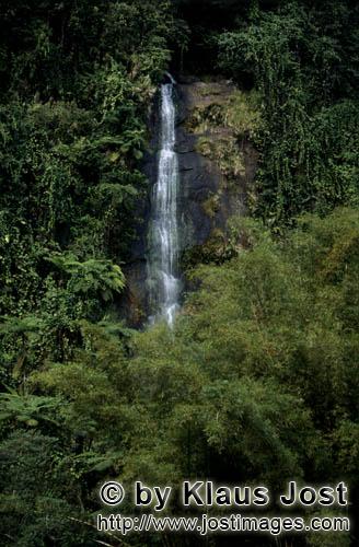 Regenwald/Viti Levu/Fidschi        Imposanter Wasserfall im Fidschi Regenwald        Die Niederschla