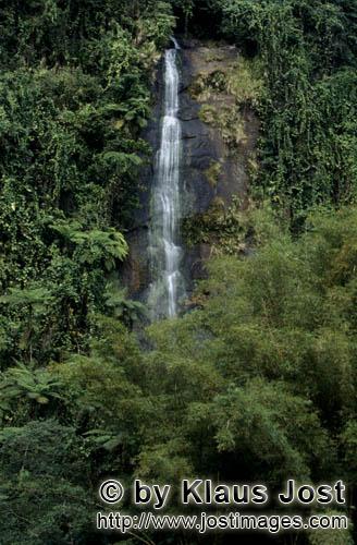 Wasserfall im Fiji Regenwald/Waterfall in the Fiji rainforest        Wasserfall im Fiji Regenwald</b