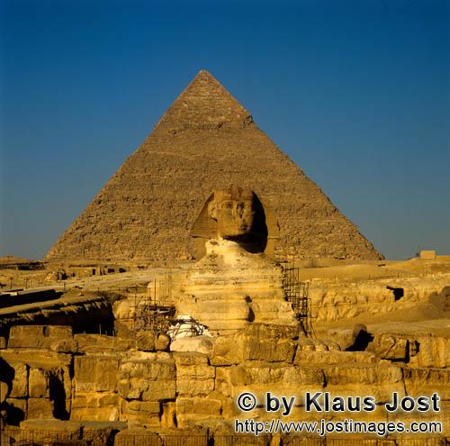 Sphinx and Pyramid of Khephren/Sphinx, Pyramide Chephren         Die Pyramide des Chephren mit der S