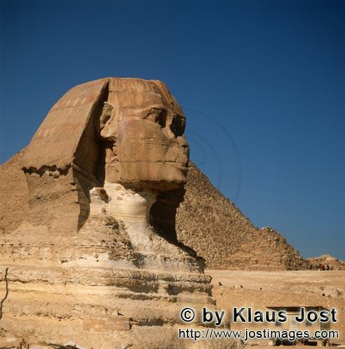 Great Sphinx of Giza/Sphinx von Gizeh        Sphinx von Gizeh         Ungefähr 350 m von der Ch