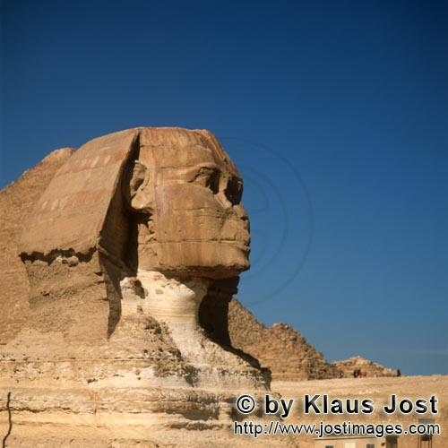 Great Sphinx of Giza/Sphinx von Gizeh        Sphinx von Gizeh - Kopfbereich         Ungefähr 350 m 