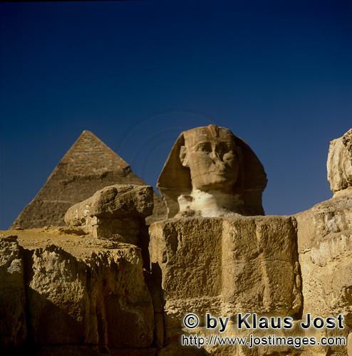 Great Sphinx of Giza /Sphinx von Gizeh        Frontansicht der Sphinx mit Chephren-Pyramide         