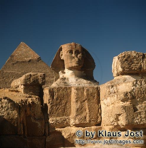 Great Sphinx of Giza /Sphinx von Gizeh        Frontalansicht der Sphinx mit Chephren Pyramide     