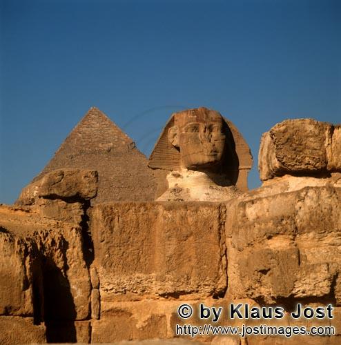 Great Sphinx of Giza/Sphinx von Gizeh        Sphinx Frontalansicht mit Chephren Pyramide        Unge