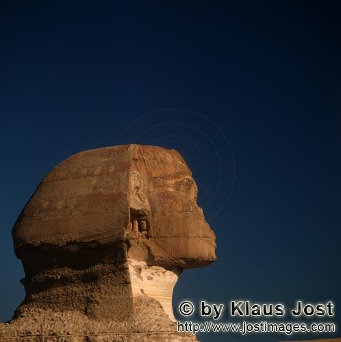 Great Sphinx of Giza /Sphinx von Gizeh        Großer Sphinx von Gizeh        Ungefähr 350 m von de