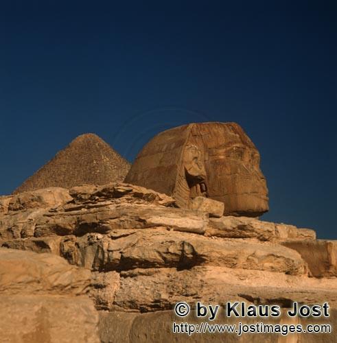 Great Sphinx of Giza/Sphinx von Gizeh        Sphinx von Gizeh mit Cheops Pyramide im Hintergrund