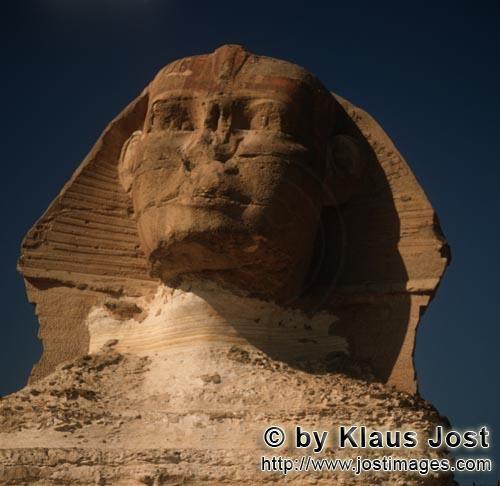 Great Sphinx of Giza /Sphinx von Gizeh        Sphinx von Gizeh Portraet        Ungefähr 350 m von d
