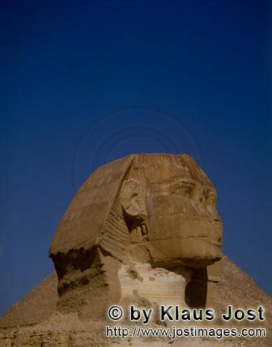 Great Sphinx of Giza/Sphinx von Gizeh        Sphinx von Gizeh Portraet        Ungefähr 350 m von de
