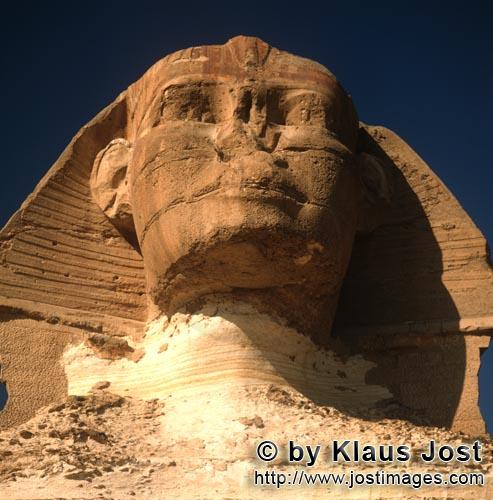 Great Sphinx of Giza /Sphinx von Gizeh        Rätselhafter Sphinx von Gizeh        Ungefähr 350 m 