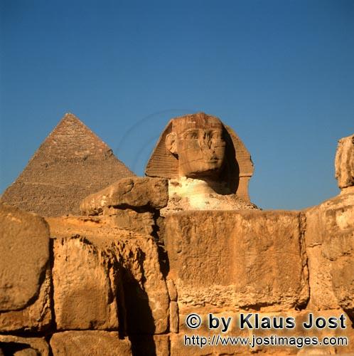 Great Sphinx of Giza /Sphinx von Gizeh        Frontalansicht der Sphinx mit Chephren Pyramide      