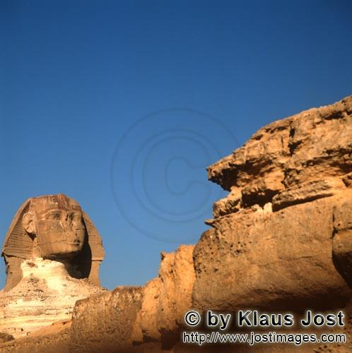 Great Sphinx of Giza/Sphinx von Gizeh        Sphinx von Gizeh         Ungefähr 350 m von der Che