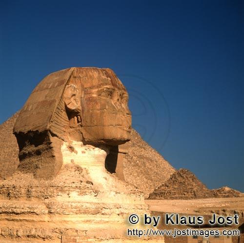 Great Sphinx of Giza /Sphinx von Gizeh        Sphinx von Gizeh         Ungefähr 350 m von der Ch