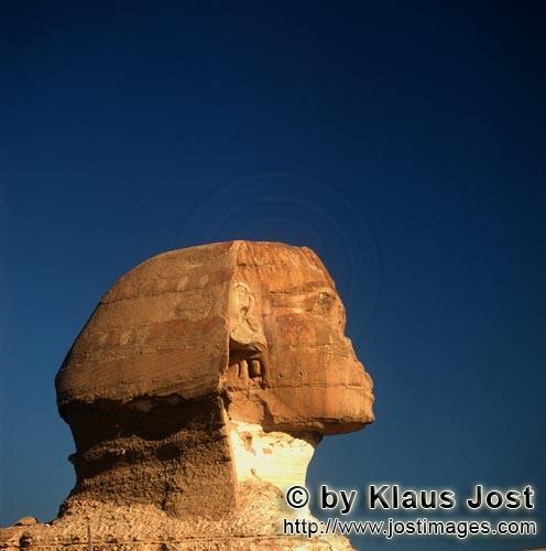 Great Sphinx of Giza /Sphinx von Gizeh        Sphinx von Gizeh - Sphinxkopf im Profil        ,Ungef