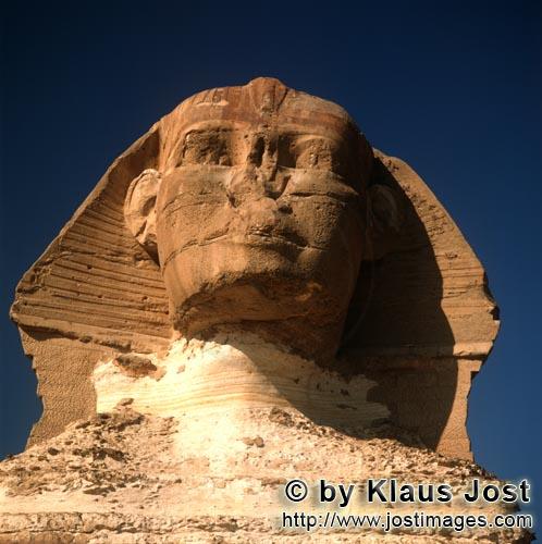 Great Sphinx of Giza/Sphinx von Gizeh        Sphinx von Gizeh Porträt        Ungefähr 350 m von de