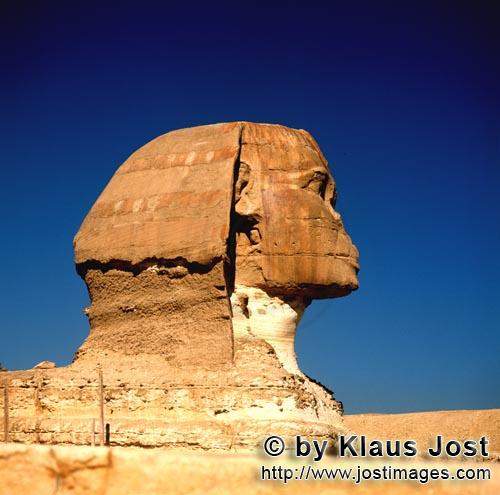 Great Sphinx of Giza /Sphinx von Gizeh        Sphinx von Gizeh - Sphinxkopf im Profil        Ungefä