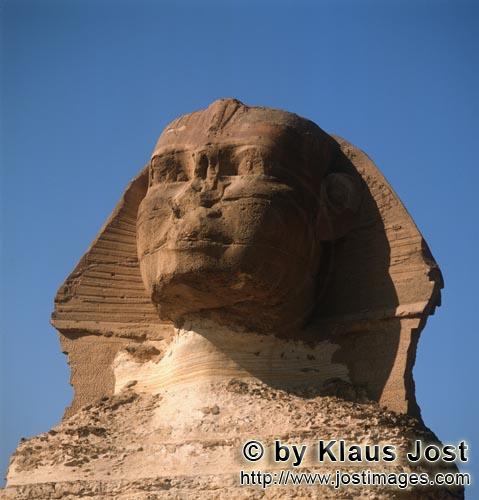 Great Sphinx of Giza /Sphinx von Gizeh        Der unergründliche Blick des Sphinx von Gizeh       