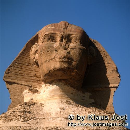 Great Sphinx of Giza /Sphinx von Gizeh        Der Blick des Sphinx von Gizeh         Ungefähr 350 m