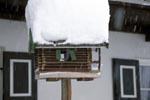 Verschneites Vogelhaus
