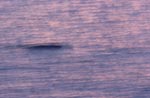 Südlicher Glatwal im Morgenlicht
