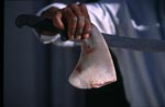 Shark Finning: Großes Messer und kleine Flosse