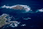 Luftbild Geyser Rock, Shark Alley und Dyer Island