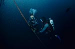 Dr. Juerg Brunnschweiler mit VEMCO VR2 Unterwasser Empfänger