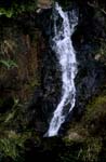 Dschungel-Rauschen - Wasserfall am Navua River 