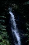 Schöner Wasserfall im Regenwald