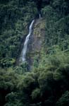 Wasserfall umgeben vom Grün des Dschungels
