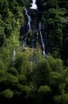 Wasserfall und Bambus im Regenwald